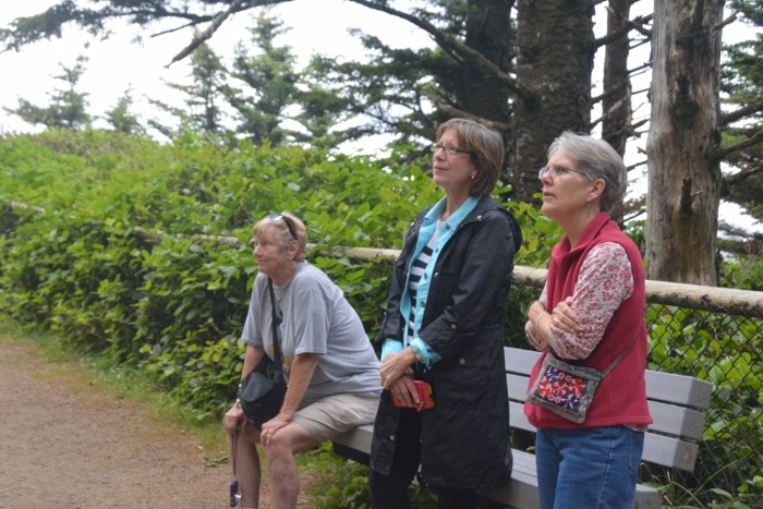 at cape meares